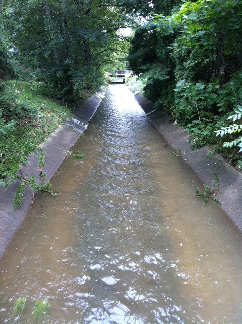 Walking home from my friend's house the morning after Irene