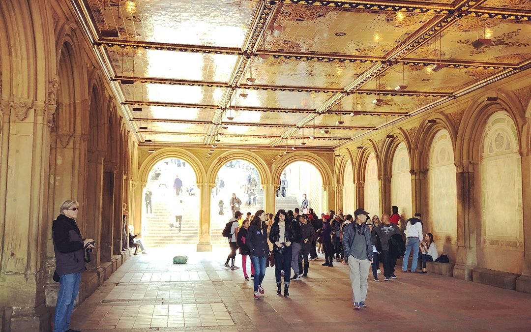 Picture from Central Park. More Like Love.