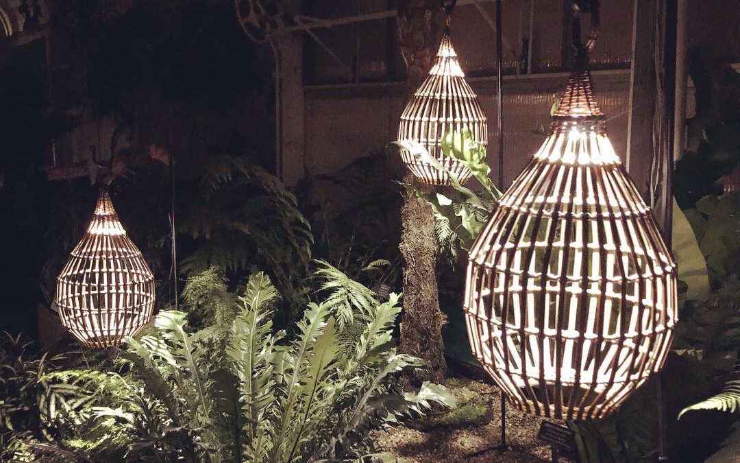 Longwood Gardens Novice Expert