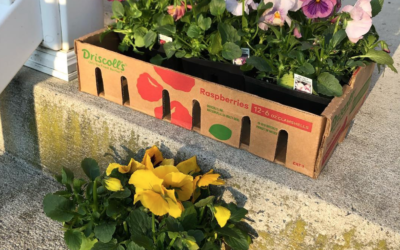 Let’s Remember the Spring.