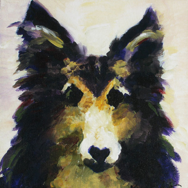 Sheltie Pet Portrait by Rachel Lynn Heisey Lancaster, PA Artist