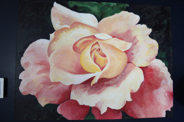 Rachel Lynn Heisey Graphic Designer, Web Designer, Yoga Instructor, Artist in Lancaster, PA Large Stunning Rose Painting