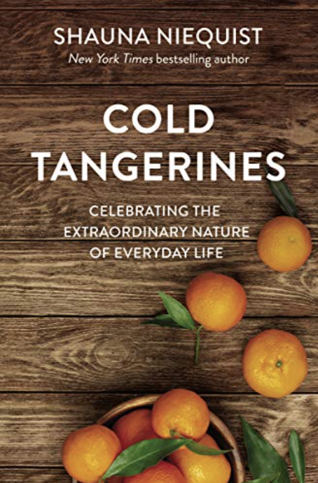 Cold Tangerines in Books I've Read in 2021 by Rachel Lynn Heisey Graphic Designer, Website Designer of Lancaster, PA Freelance Design