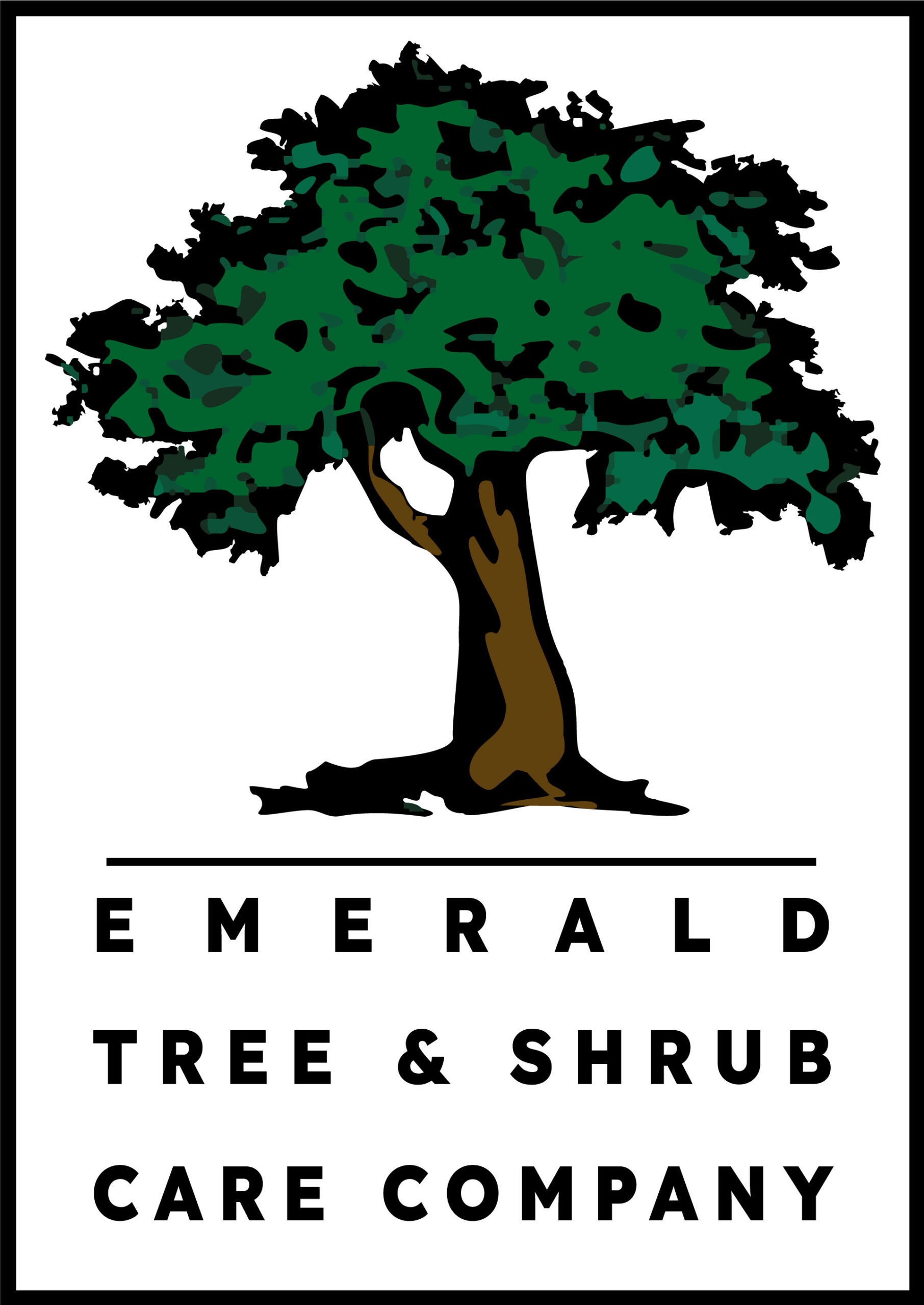 Emerald Tree Care Logo Designed by Rachel Lynn Heisey Design Lancaster, PA