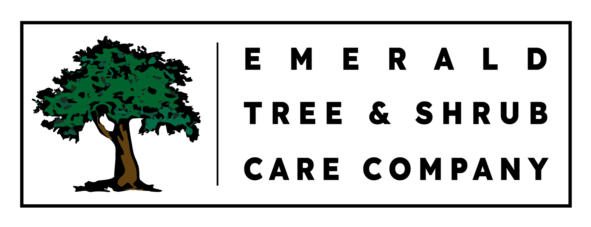 Emerald Tree Care Logo Designed by Rachel Lynn Heisey Design Lancaster, PA